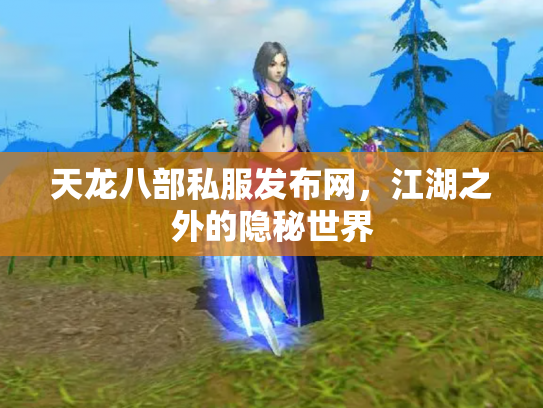 天龙八部私服发布网，江湖之外的隐秘世界