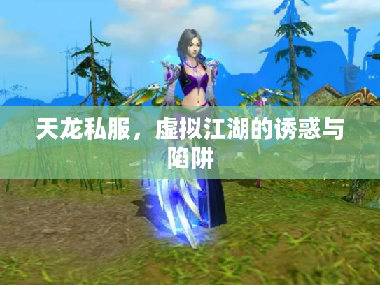 天龙私服，虚拟江湖的诱惑与陷阱