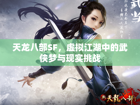 天龙八部SF，虚拟江湖中的武侠梦与现实挑战