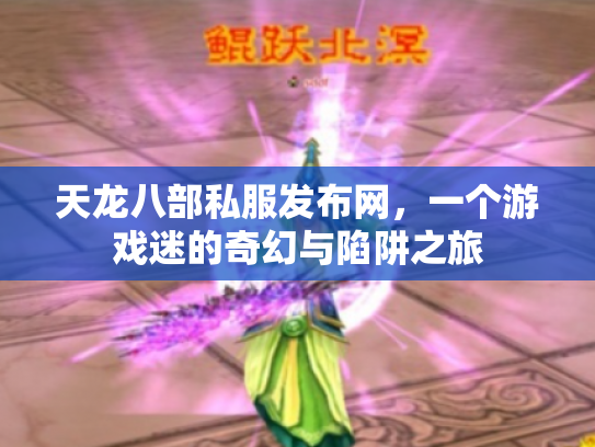 天龙八部私服发布网，一个游戏迷的奇幻与陷阱之旅
