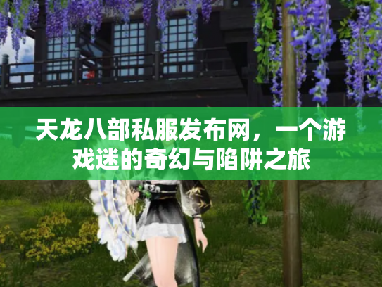 天龙八部私服发布网，一个游戏迷的奇幻与陷阱之旅
