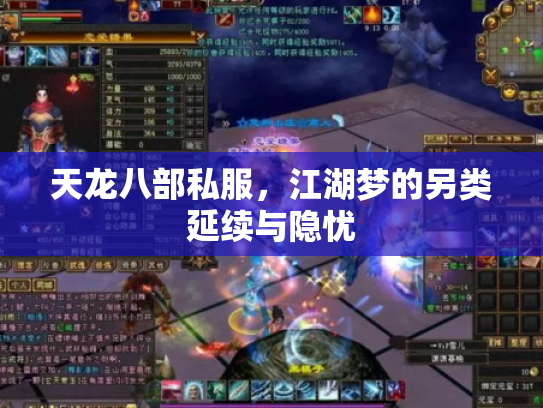 天龙八部私服，江湖梦的另类延续与隐忧
