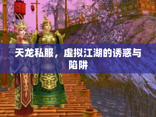 天龙私服，虚拟江湖的诱惑与陷阱