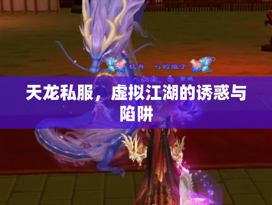 天龙私服，虚拟江湖的诱惑与陷阱