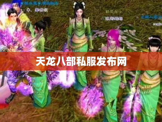 天龙八部私服发布网