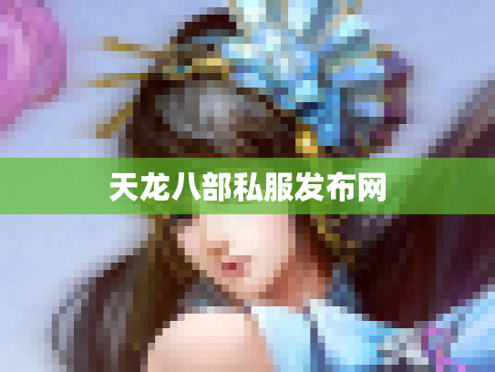 天龙八部私服发布网