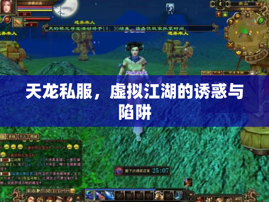 天龙私服，虚拟江湖的诱惑与陷阱