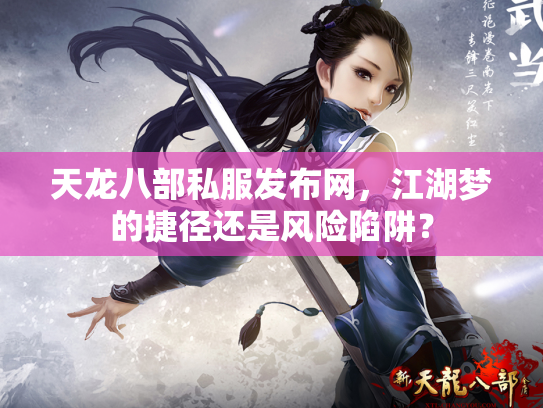 天龙八部私服发布网，江湖梦的捷径还是风险陷阱？