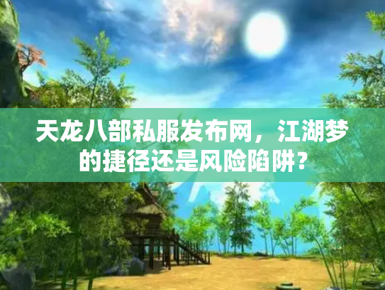 天龙八部私服发布网，江湖梦的捷径还是风险陷阱？