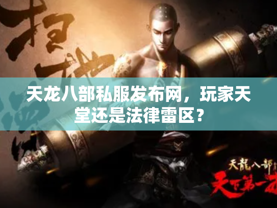 天龙八部私服发布网，玩家天堂还是法律雷区？