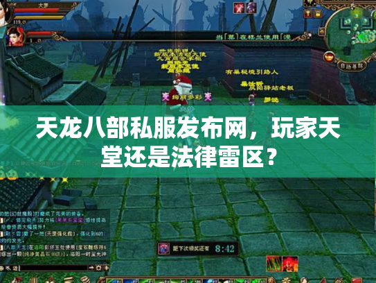 天龙八部私服发布网，玩家天堂还是法律雷区？