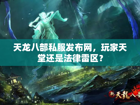 天龙八部私服发布网，玩家天堂还是法律雷区？