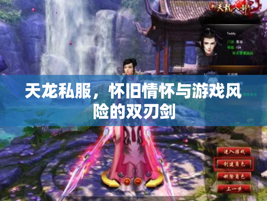 天龙私服，怀旧情怀与游戏风险的双刃剑