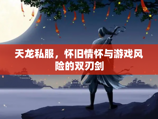 天龙私服，怀旧情怀与游戏风险的双刃剑