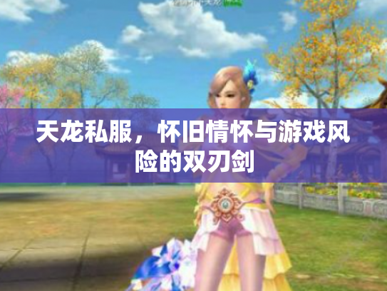 天龙私服，怀旧情怀与游戏风险的双刃剑