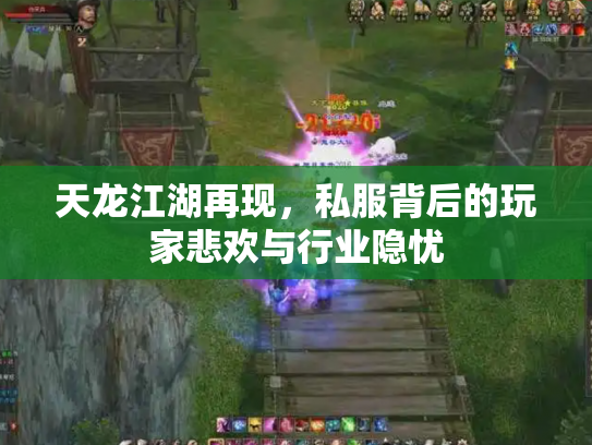 天龙江湖再现，私服背后的玩家悲欢与行业隐忧