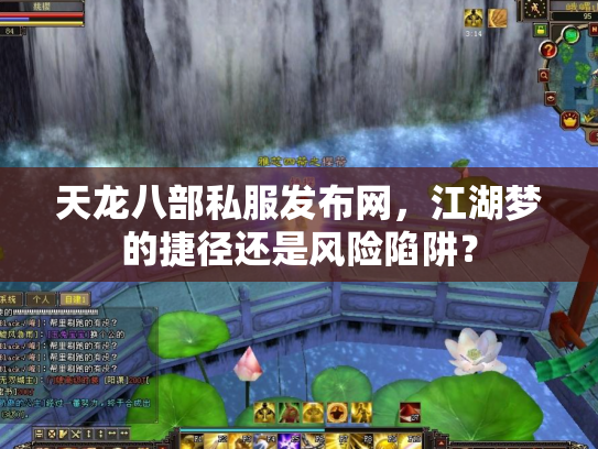 天龙八部私服发布网，江湖梦的捷径还是风险陷阱？