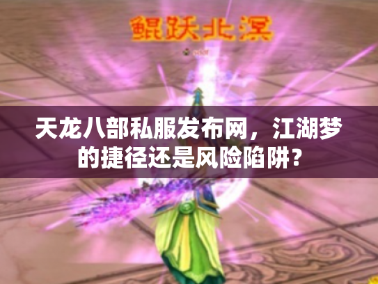 天龙八部私服发布网，江湖梦的捷径还是风险陷阱？