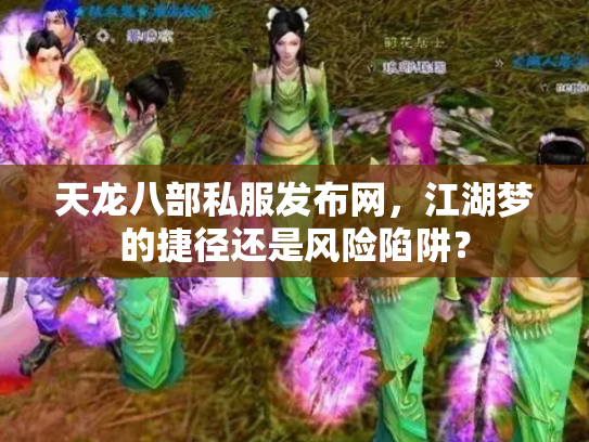天龙八部私服发布网，江湖梦的捷径还是风险陷阱？