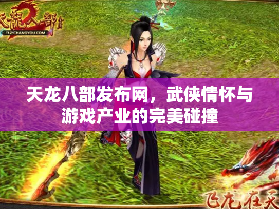 天龙八部发布网，武侠情怀与游戏产业的完美碰撞