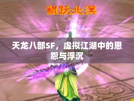 天龙八部SF，虚拟江湖中的恩怨与浮沉