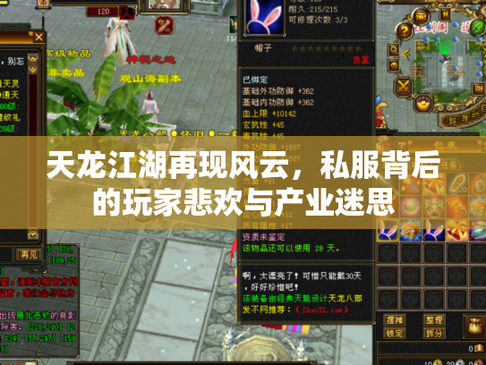 天龙江湖再现风云，私服背后的玩家悲欢与产业迷思