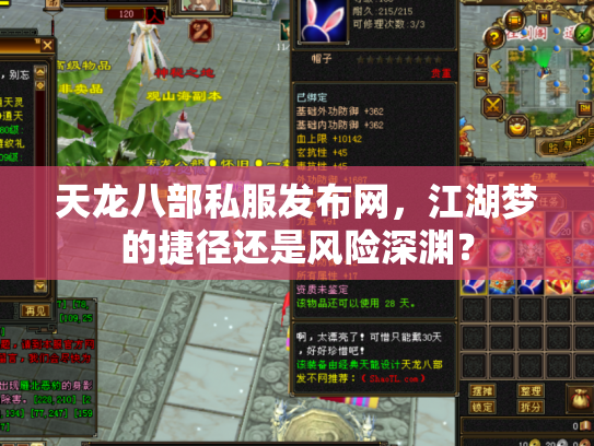 天龙八部私服发布网，江湖梦的捷径还是风险深渊？
