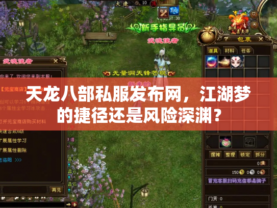 天龙八部私服发布网，江湖梦的捷径还是风险深渊？