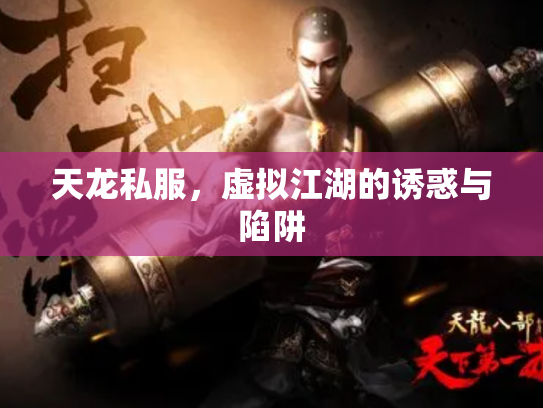 天龙私服，虚拟江湖的诱惑与陷阱