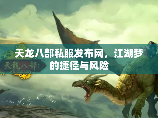 天龙八部私服发布网，江湖梦的捷径与风险