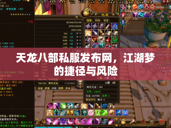 天龙八部私服发布网，江湖梦的捷径与风险
