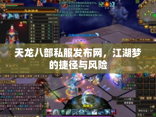 天龙八部私服发布网，江湖梦的捷径与风险