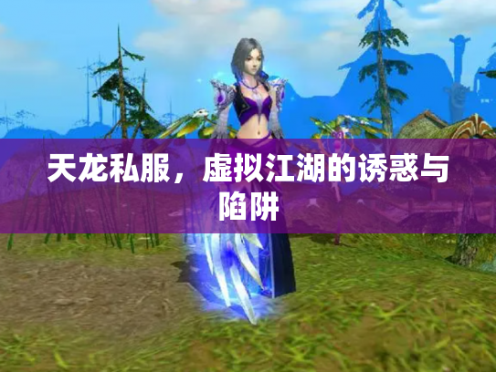 天龙私服，虚拟江湖的诱惑与陷阱