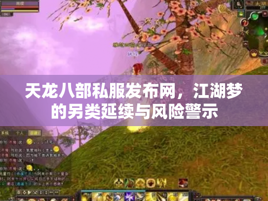 天龙八部私服发布网，江湖梦的另类延续与风险警示