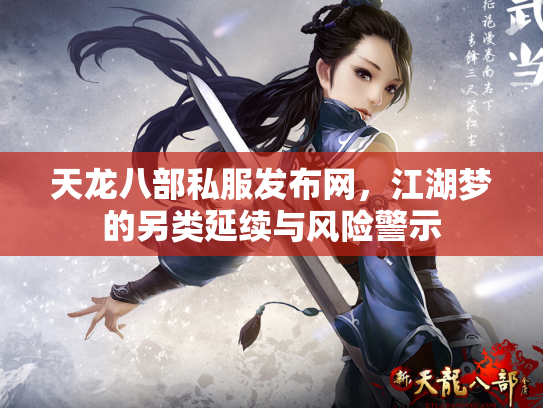 天龙八部私服发布网，江湖梦的另类延续与风险警示