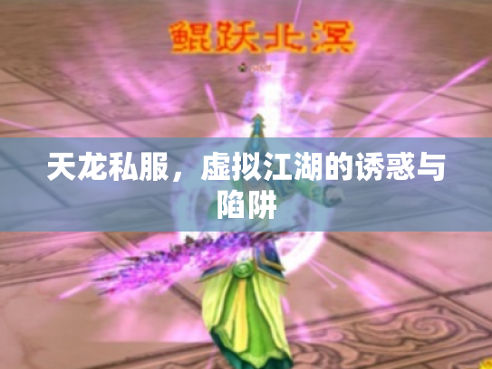 天龙私服，虚拟江湖的诱惑与陷阱