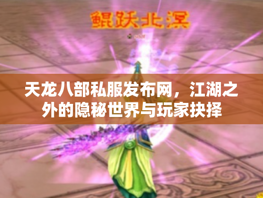 天龙八部私服发布网，江湖之外的隐秘世界与玩家抉择