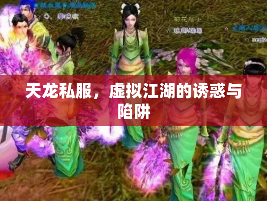 天龙私服，虚拟江湖的诱惑与陷阱