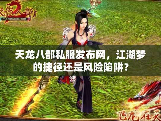 天龙八部私服发布网，江湖梦的捷径还是风险陷阱？