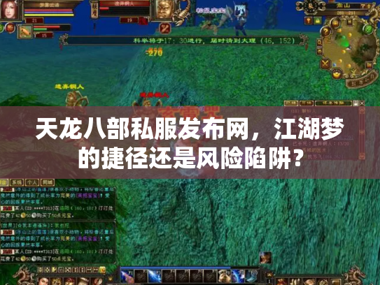天龙八部私服发布网，江湖梦的捷径还是风险陷阱？