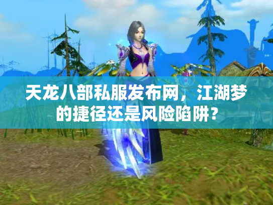 天龙八部私服发布网，江湖梦的捷径还是风险陷阱？