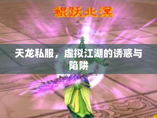 天龙私服，虚拟江湖的诱惑与陷阱