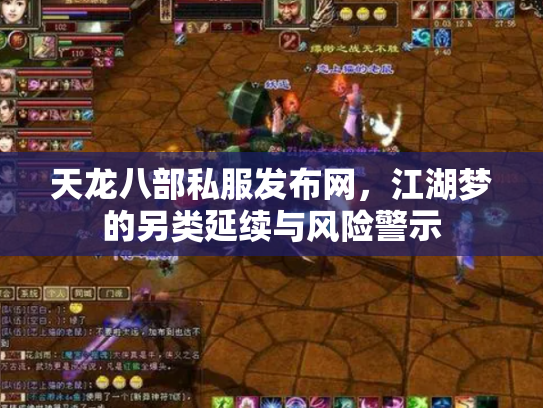 天龙八部私服发布网，江湖梦的另类延续与风险警示