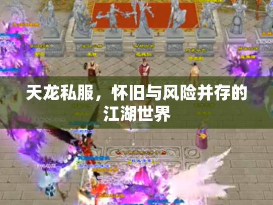 天龙私服，怀旧与风险并存的江湖世界