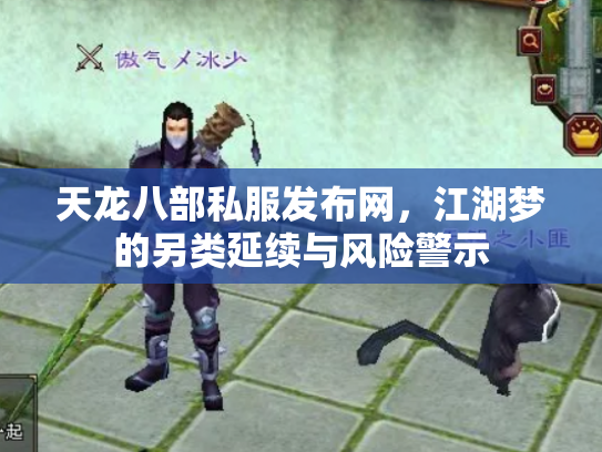 天龙八部私服发布网，江湖梦的另类延续与风险警示