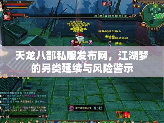 天龙八部私服发布网，江湖梦的另类延续与风险警示