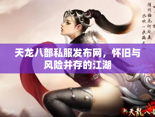 天龙八部私服发布网，怀旧与风险并存的江湖
