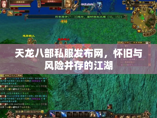 天龙八部私服发布网，怀旧与风险并存的江湖