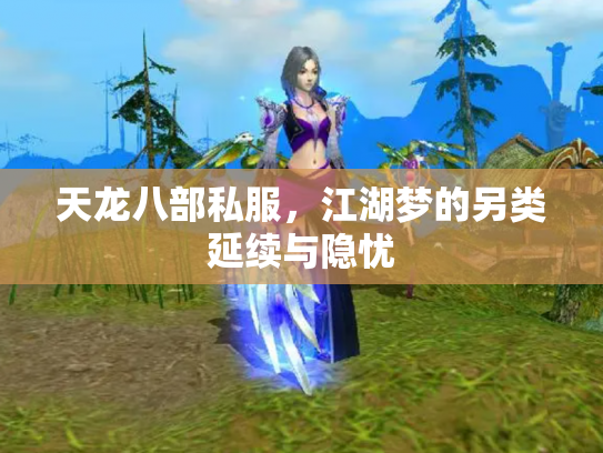 天龙八部私服，江湖梦的另类延续与隐忧