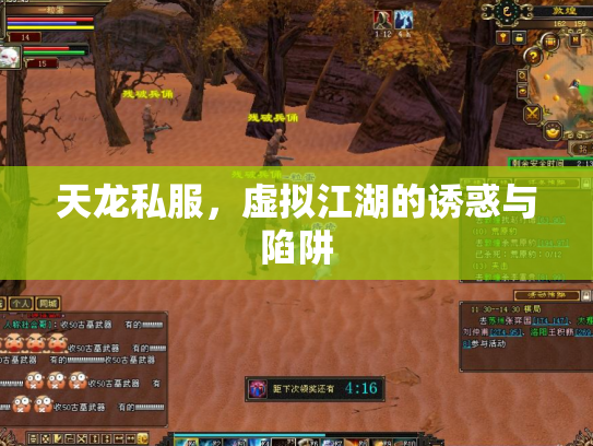 天龙私服，虚拟江湖的诱惑与陷阱